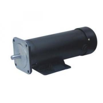 123ZYT Series Electric DC Motor  123ZYT-220-600-1700