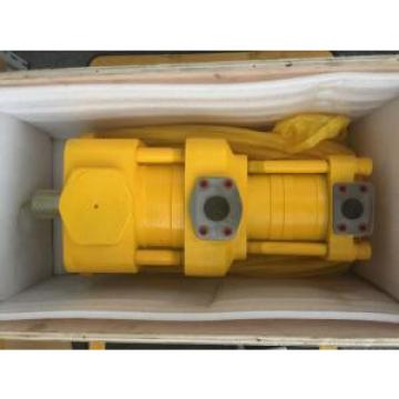 Sumitomo QT4222-31.5-6.3F Double Gear Pump