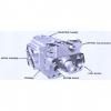 Dansion Gold cup series piston pump P8R-5L5E-9A6-B0X-A0