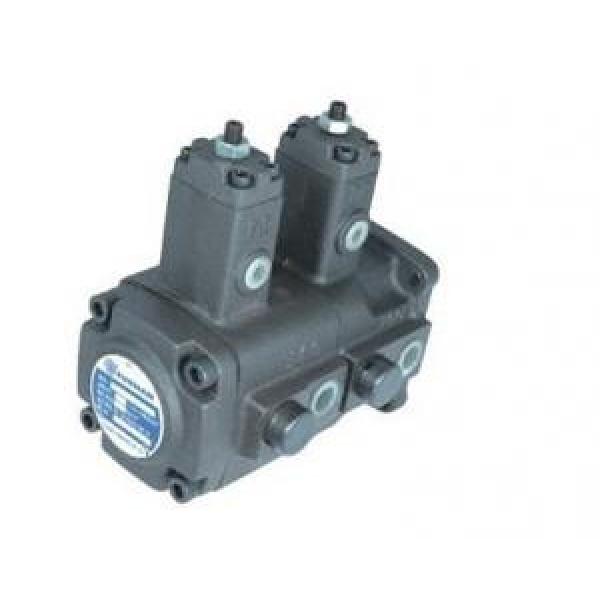 Double variable vane pump VD1D1 Series #1 image