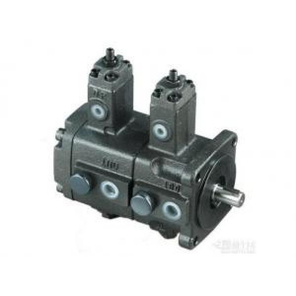 Low double variable vane pump TCVVP series #1 image