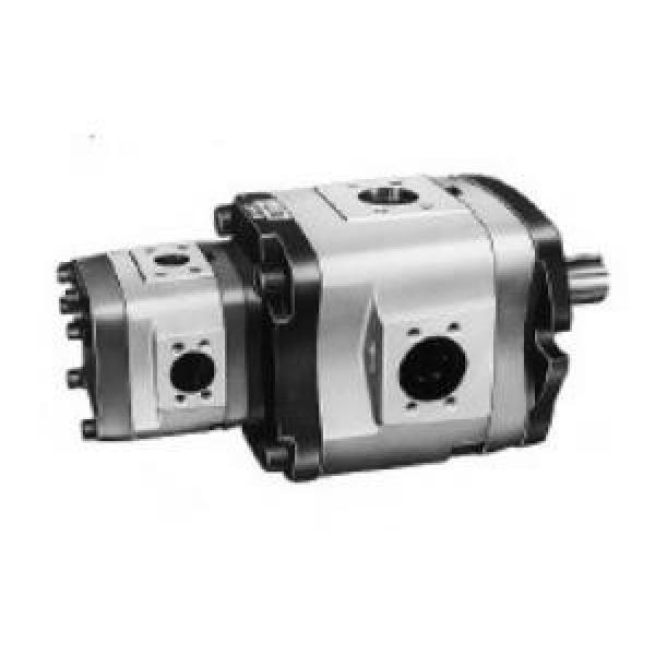 NACHI Mexico IPH-23B-6.5-16-11  IPH Series Double IP Pump #1 image