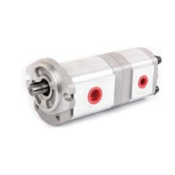 HGP-33A France Series Gear Pump #1 image